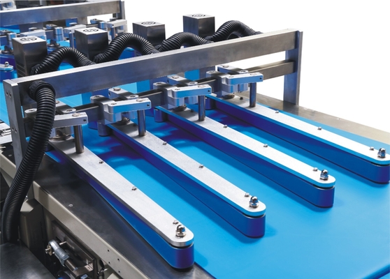 Biscuit Cookie Food Automatic Packaging Line Cake Waffle Feeding And Bag Packing Line