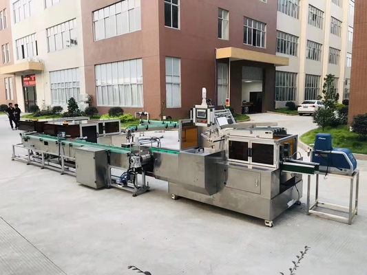 Automatic Box Carton Packing Machine Snack Food Small Electrical Industries