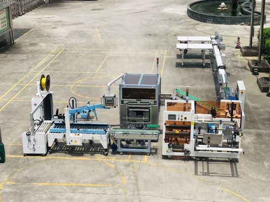 Forming Continuous Automatic Box Packing Machine Auto Filling Sealing Machine