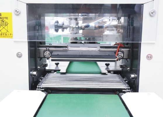 Automated Reciprocating Horizontal Pouch Packing Machine With PE Film