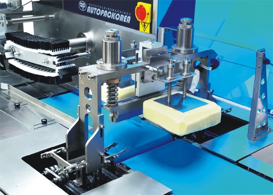 Automatic Reciprocating Horizontal Packing Machine With Film Switching Device