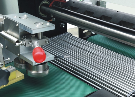 PLC Horizontal Form Fill Packaging Machine Seal Conveying Servo Motors